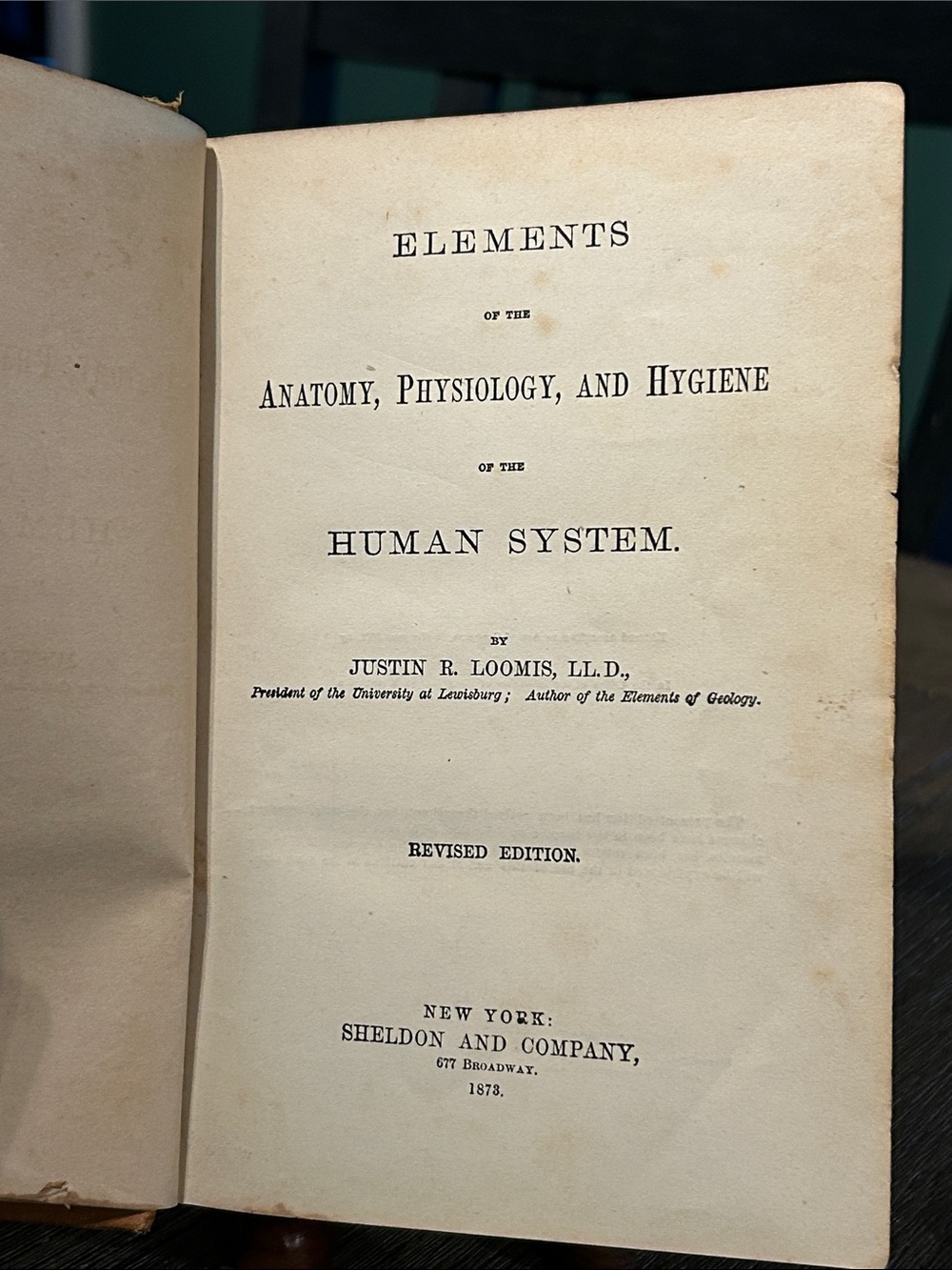 1873 Anatomy Physiology and Hygiene of the Human System antique medical  book